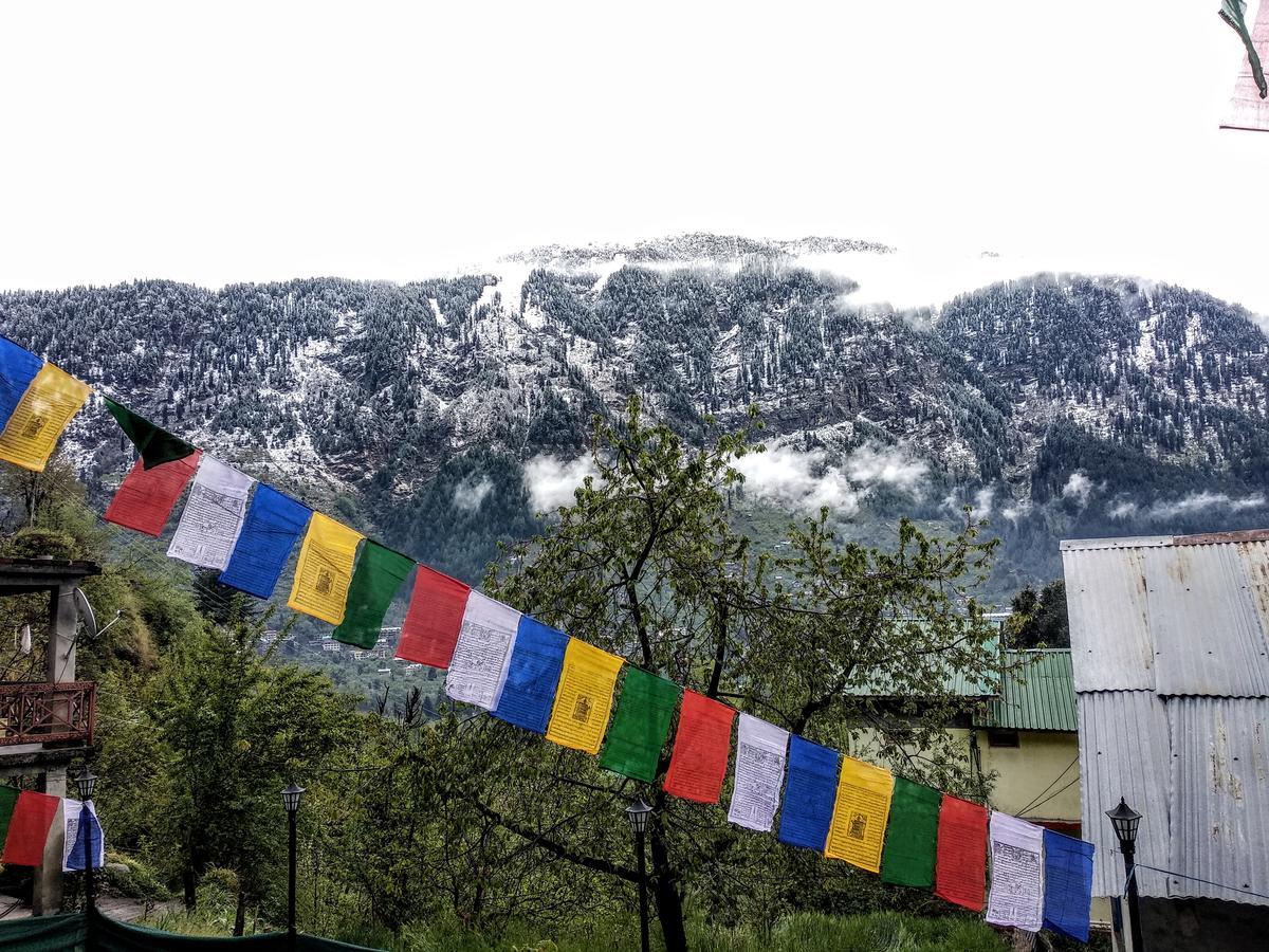 Bros Hostel Manali エクステリア 写真